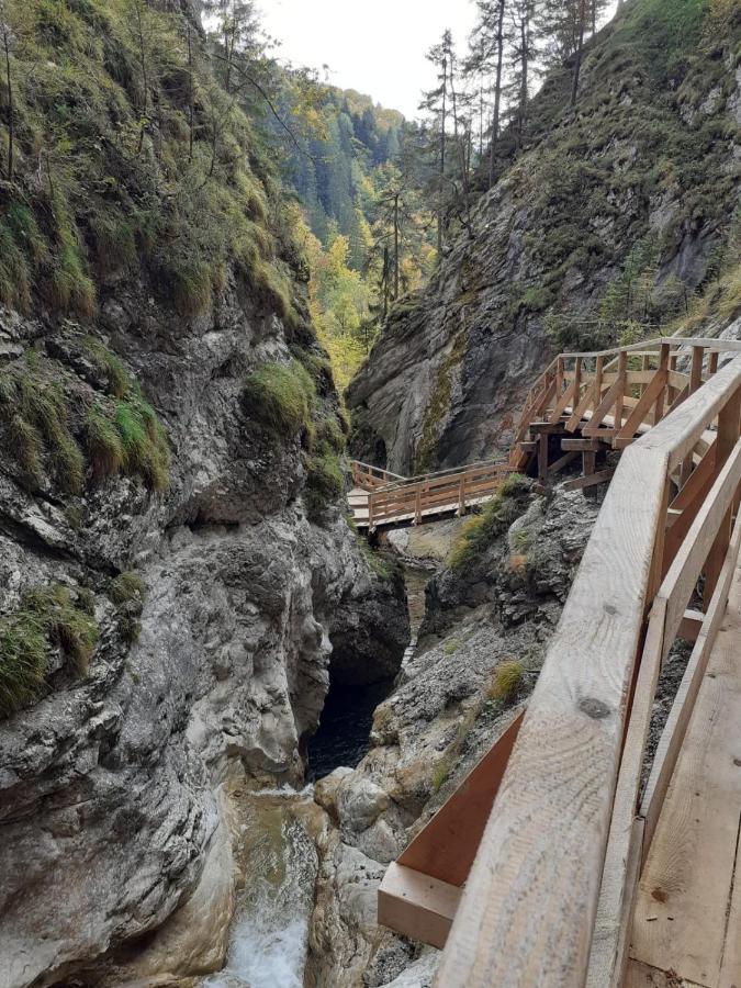 Steinerhaus Berggasthof Grobming Zewnętrze zdjęcie