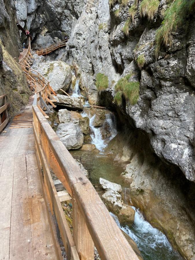 Steinerhaus Berggasthof Grobming Zewnętrze zdjęcie